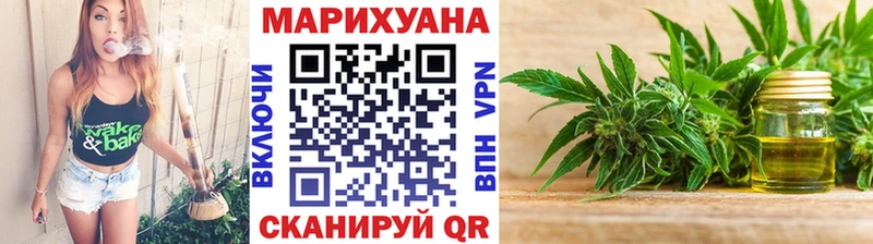 Бошки Шишки план  Куса 